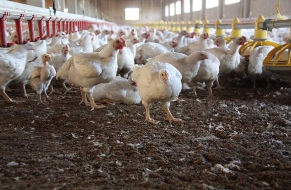 Phenobarbitol Detox Treatment ProgramsEdmond WV